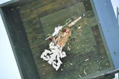 Vogelschiessen_2019_10370