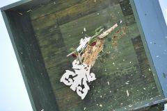 Vogelschiessen_2019_10371