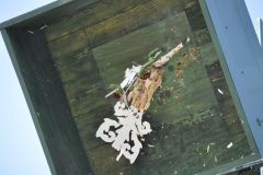 Vogelschiessen_2019_10372