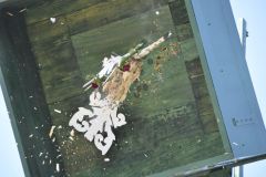 Vogelschiessen_2019_10375