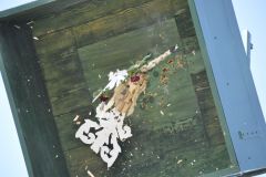 Vogelschiessen_2019_10379