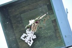 Vogelschiessen_2019_10380