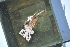 Vogelschiessen_2019_10383