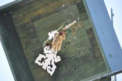 Vogelschiessen_2019_10385