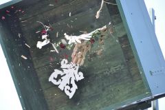 Vogelschiessen_2019_10386