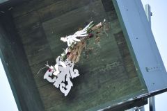 Vogelschiessen_2019_10388