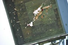 Vogelschiessen_2019_10403