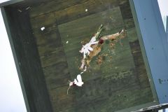 Vogelschiessen_2019_10405