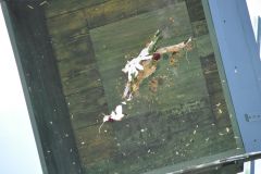 Vogelschiessen_2019_10407