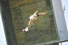 Vogelschiessen_2019_10414