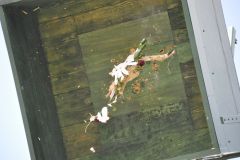 Vogelschiessen_2019_10416