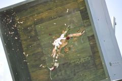 Vogelschiessen_2019_10420