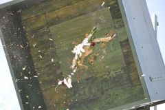 Vogelschiessen_2019_10421