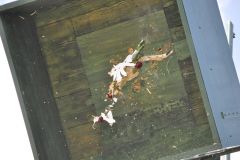 Vogelschiessen_2019_10425