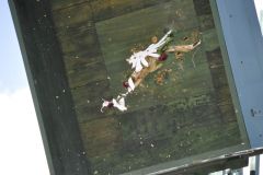 Vogelschiessen_2019_10427