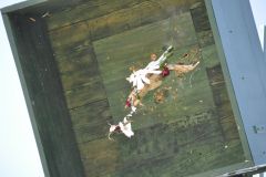 Vogelschiessen_2019_10433