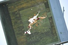 Vogelschiessen_2019_10434