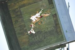 Vogelschiessen_2019_10436