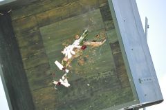 Vogelschiessen_2019_10437