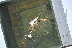 Vogelschiessen_2019_10438