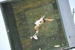 Vogelschiessen_2019_10440