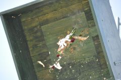 Vogelschiessen_2019_10441