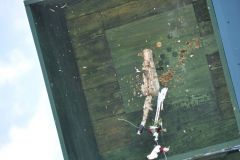 Vogelschiessen_2019_10458