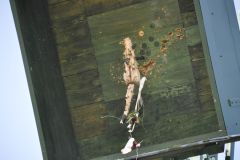 Vogelschiessen_2019_10464