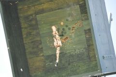 Vogelschiessen_2019_10467