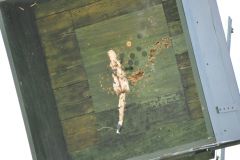 Vogelschiessen_2019_10471