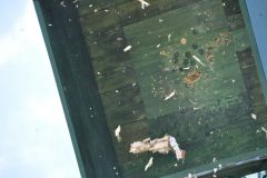 Vogelschiessen_2019_10473