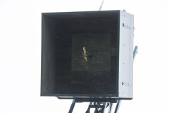 Schuetzenfestmontag-27.06.2022_200460