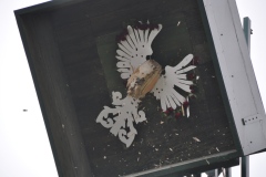 Vogelschiessen2022_01119