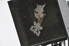 Vogelschiessen2022_01135