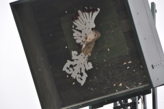 Vogelschiessen2022_01138