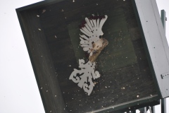 Vogelschiessen2022_02020