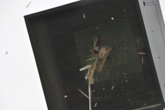 Vogelschiessen2022_02046