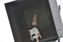 Vogelschiessen2022_02048