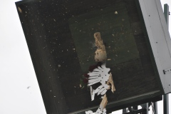 Vogelschiessen2022_02050