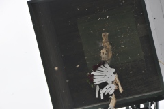 Vogelschiessen2022_02056