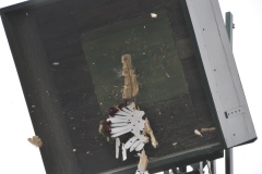 Vogelschiessen2022_02058