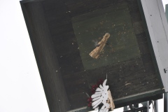 Vogelschiessen2022_02072