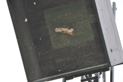 Vogelschiessen2022_02082