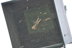 Vogelschiessen2022_02091