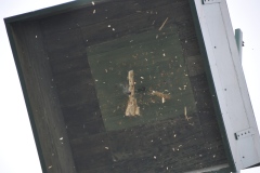 Vogelschiessen2022_02101