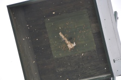 Vogelschiessen2022_02104