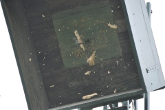 Vogelschiessen2022_02106