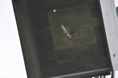 Vogelschiessen2022_02111