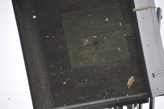 Vogelschiessen2022_02113