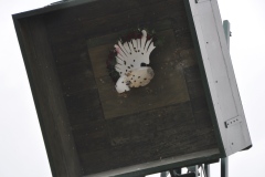 Schuetzenfestmontag-2023_400095